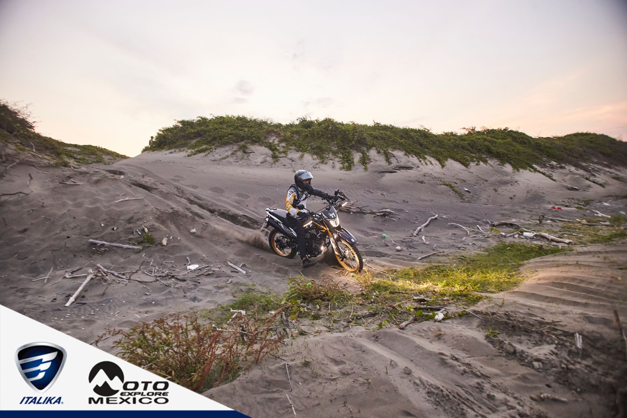 ITALIKA CHACHALACAS D1 441